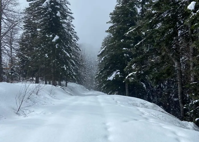 ベッド・アンド・ブレックファスト La Meizun De Charles