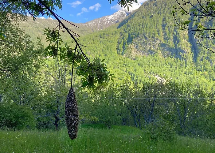 La Meizun De Charles