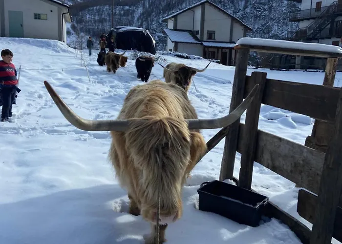 ベッド・アンド・ブレックファスト La Meizun De Charles 3*